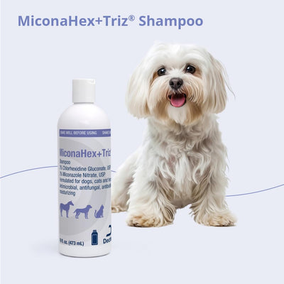 MiconaHex+Triz botella 16 oz para varios lavados y ahorro