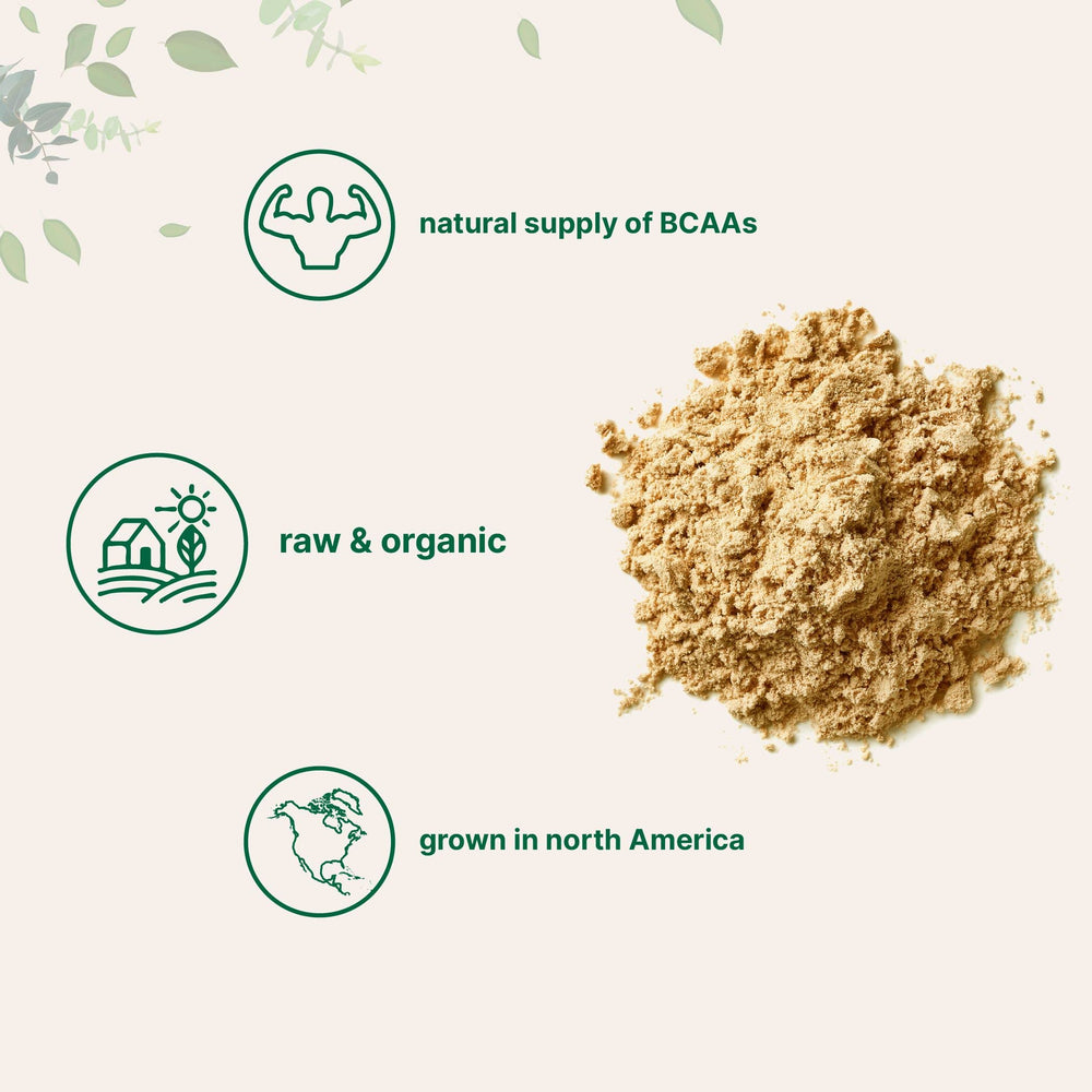 Micro Ingredients batido vegano servido, aporte proteico fácil
