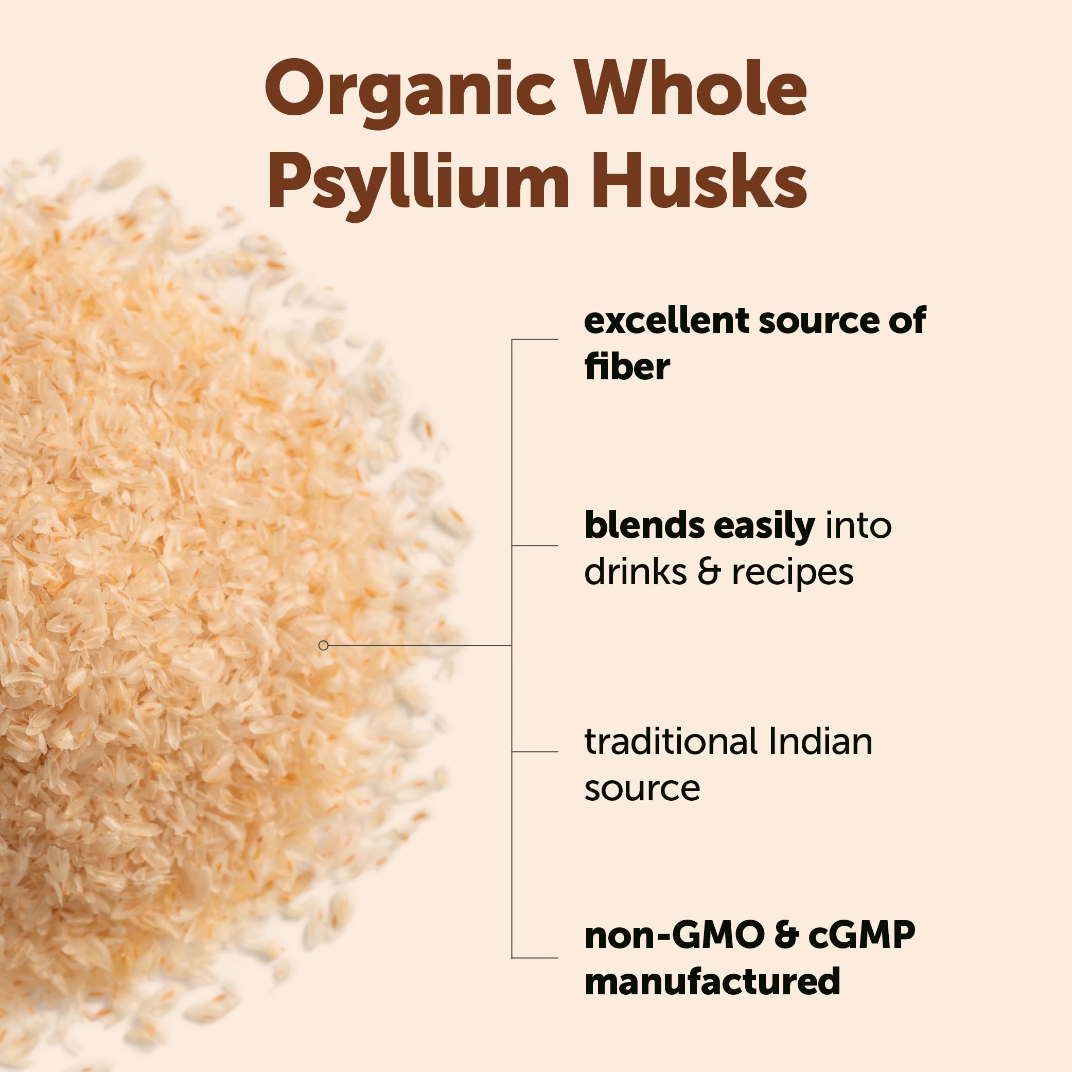 Micro Ingredients cuchara con psyllium husks en mano lista para añadir a bebidas