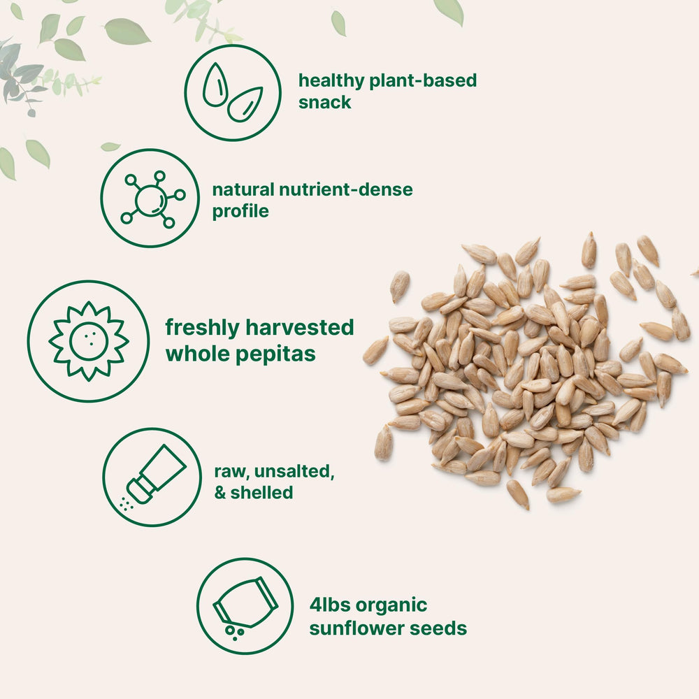 Micro Ingredients semillas espolvoreadas en ensalada aportando crujiente saludable