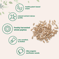Micro Ingredients semillas espolvoreadas en ensalada aportando crujiente saludable