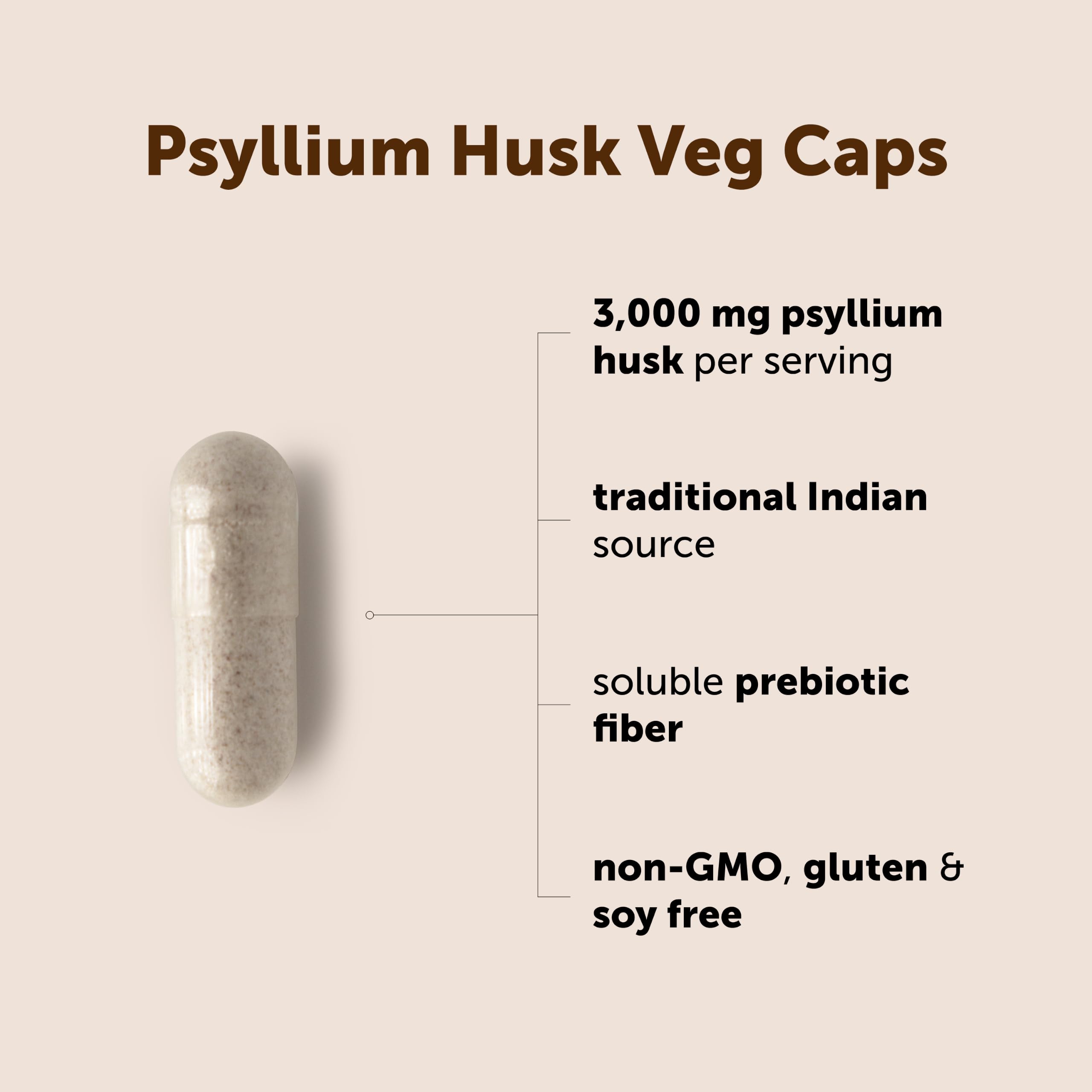 Micro Ingredients detalle de la textura del polvo de psyllium y pureza visible