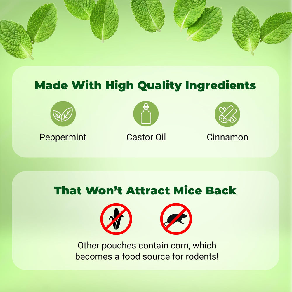 Mighty Mint pouch colocada en despensa frescura y disuasión en almacenamiento