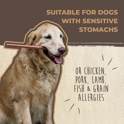 Mighty Paw ingredient label highlighting 100% grass-fed beef single ingredient