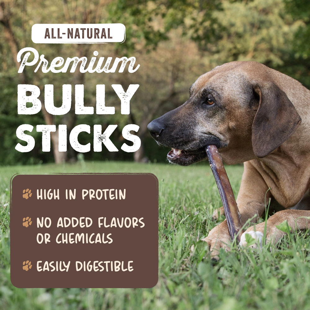 Mighty Paw single bully stick close-up highlighting durability