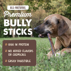 Mighty Paw single bully stick close-up highlighting durability