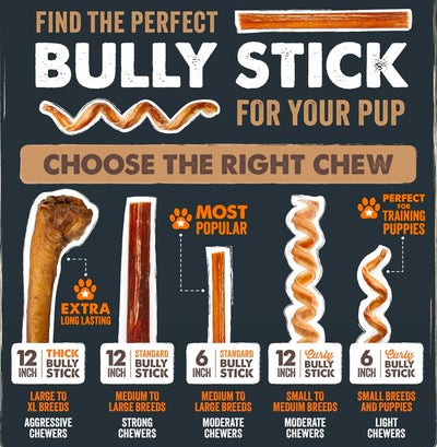Mighty Paw texture detail showing firm chew surface for lasting use