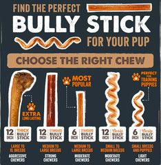 Mighty Paw texture detail showing firm chew surface for lasting use