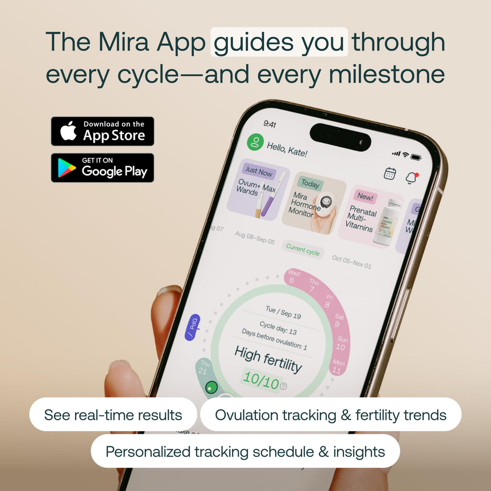 Mira wand beside a ruler showing compact size and travel-friendly convenience