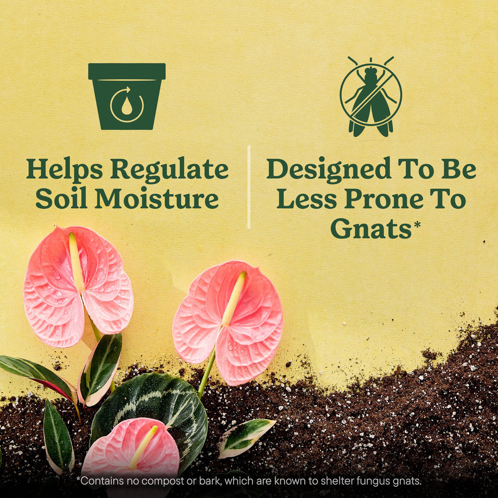 Miracle-Gro en ambiente de salón con varias plantas, mejora el aspecto del hogar
