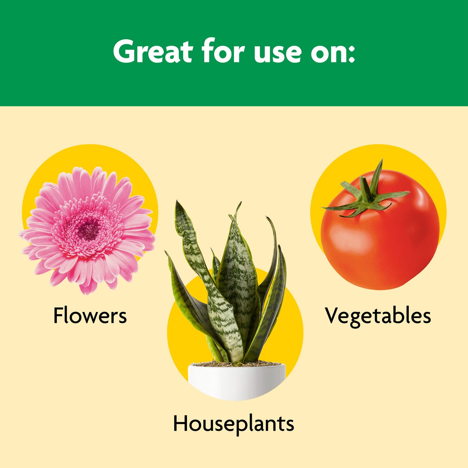 Miracle-Gro applied to garden bed illustrating simple soil feeding