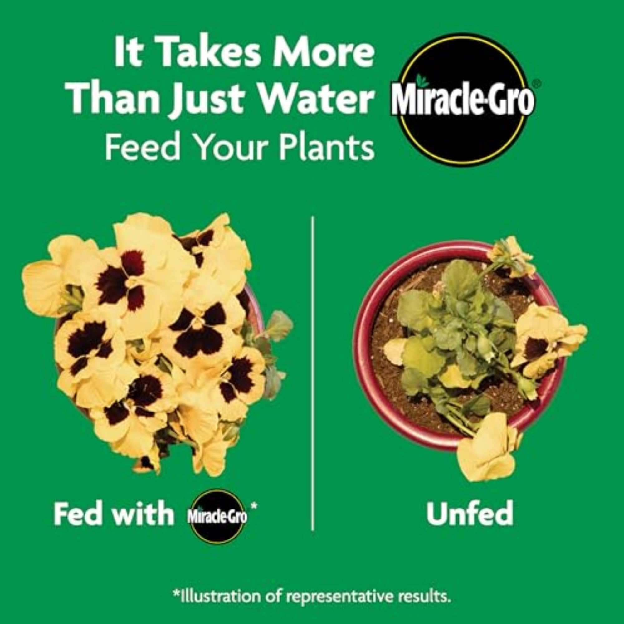 Miracle-Gro jardín con flores para inspiración de uso