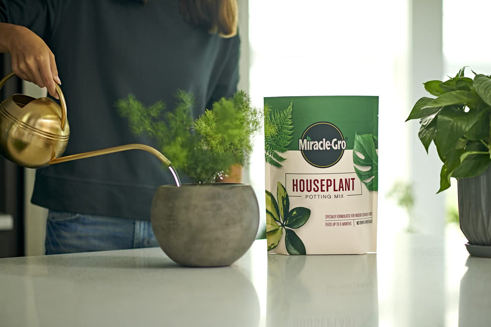 Miracle-Gro lifestyle shelf display with multiple houseplants using the mix