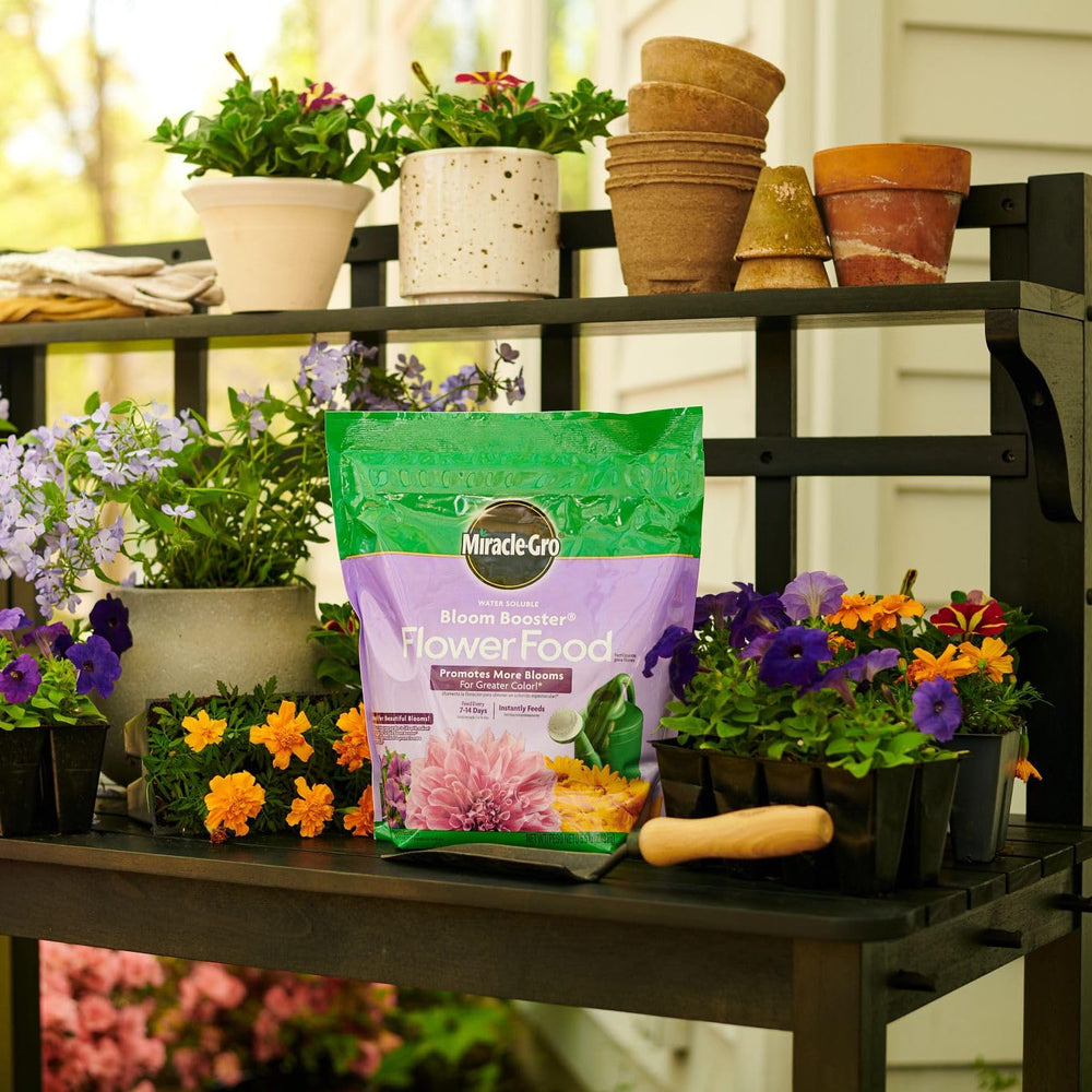 Miracle-Gro scoop next to tub demonstrating correct dosing size
