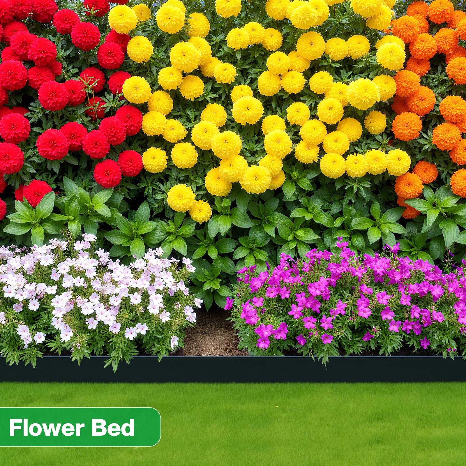 Bordura MIXC separando césped y mulch con aspecto ordenado