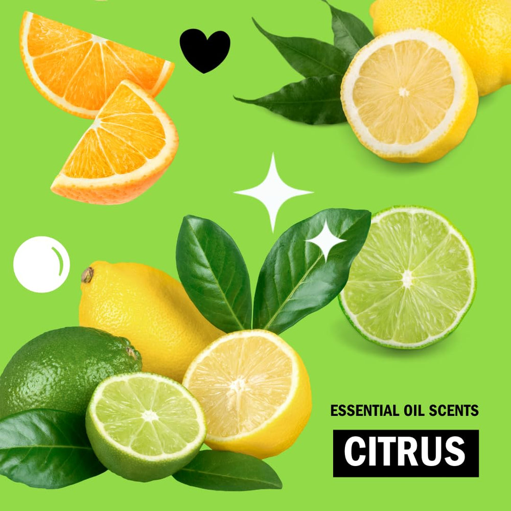 Molly's Suds etiqueta de ingredientes simples y certificación Leaping Bunny