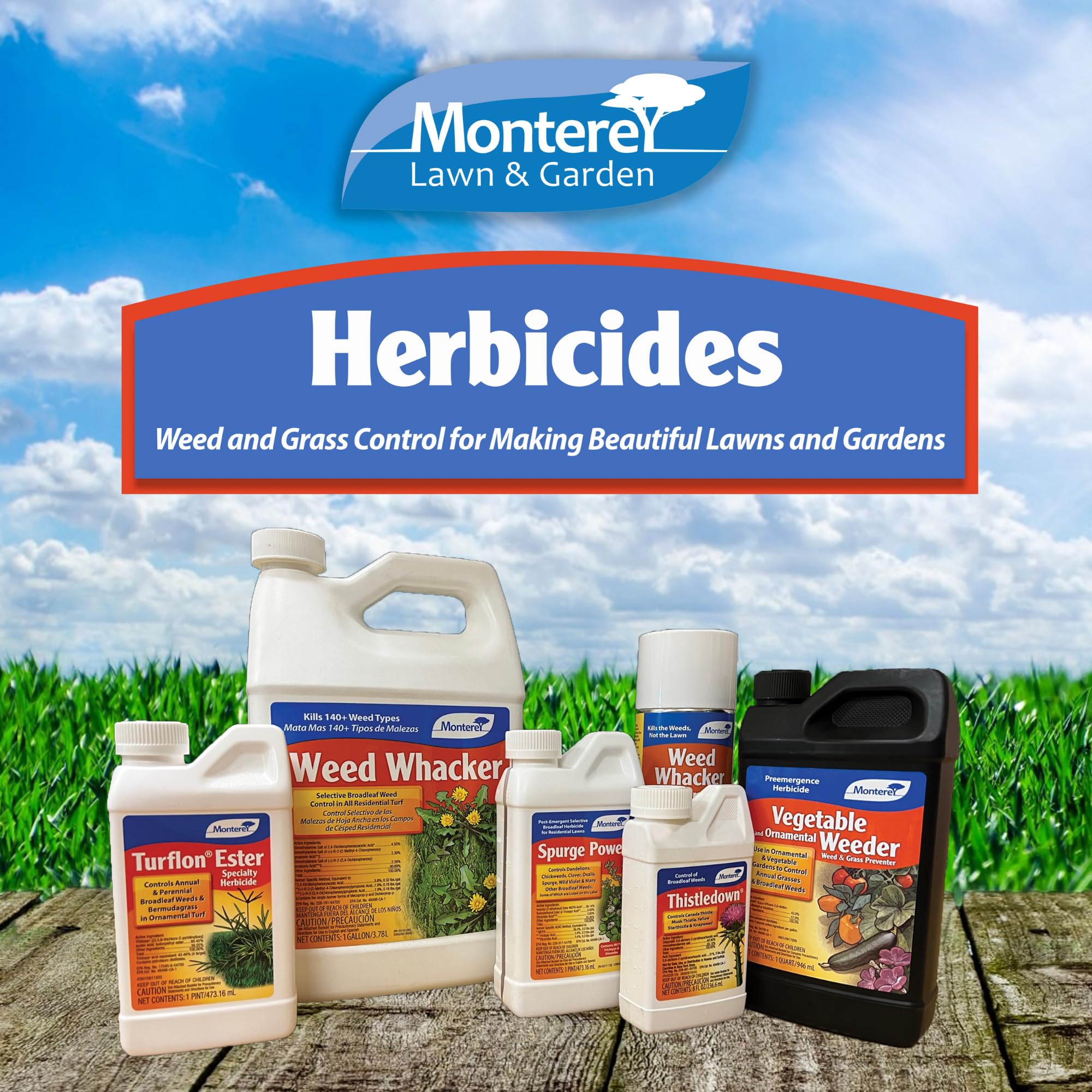 Botella de Monterey Thistledown al lado de una regla para comparar volumen y escala