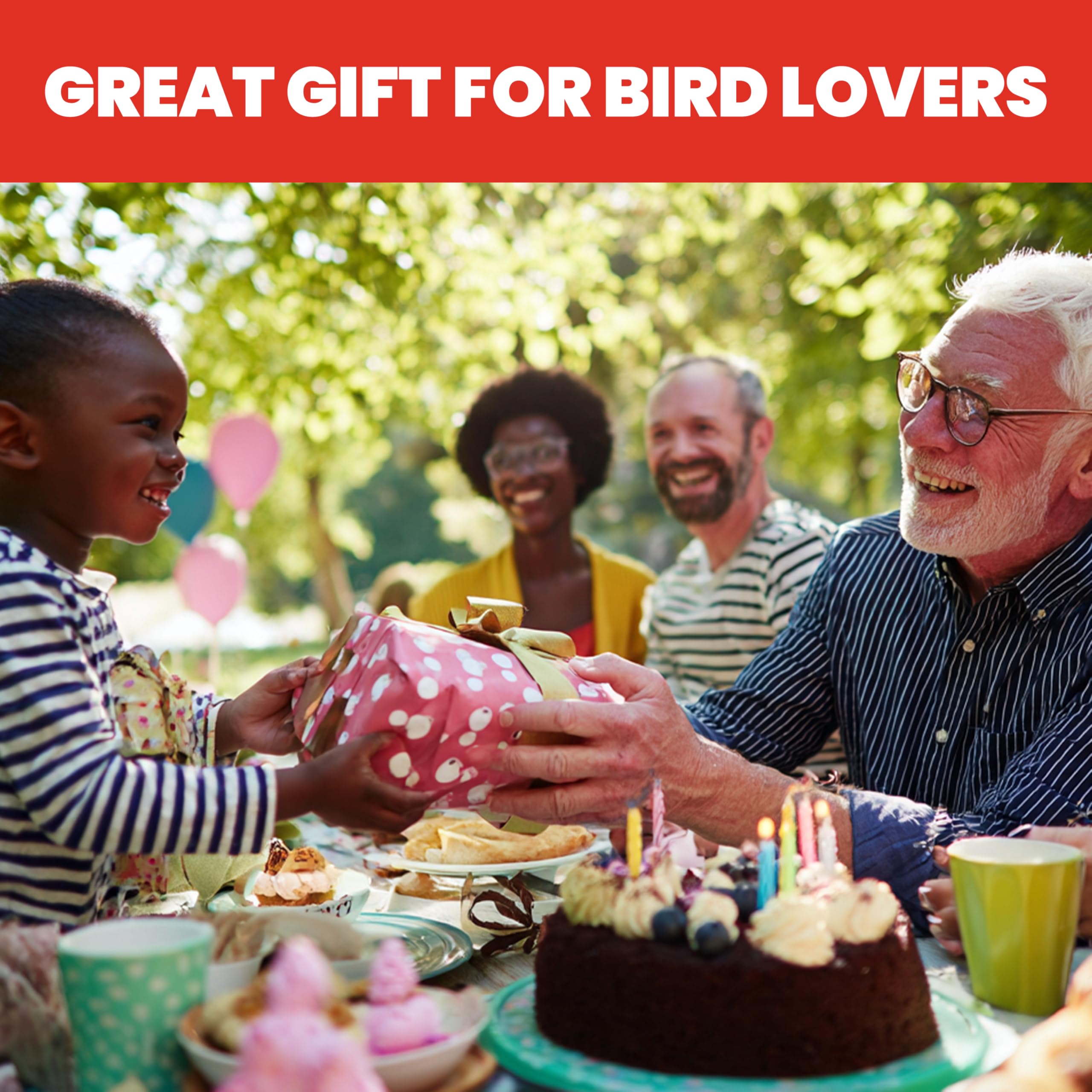 More Birds packaging and label view showing BPA-free recyclable parts information benefit