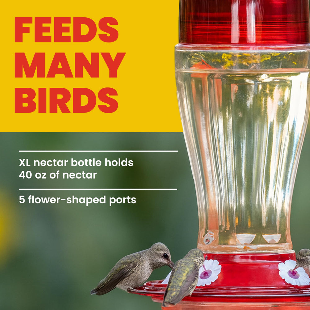 More Birds feeder next to a water bottle size comparison showing scale and yard fit benefit