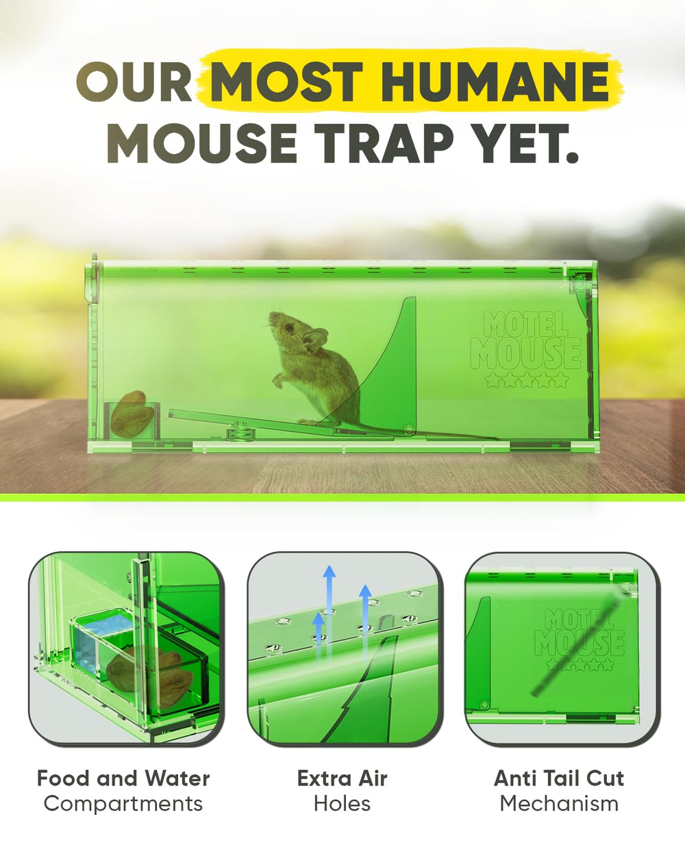 Motel Mouse primer plano de orificios de ventilación que reducen estrés