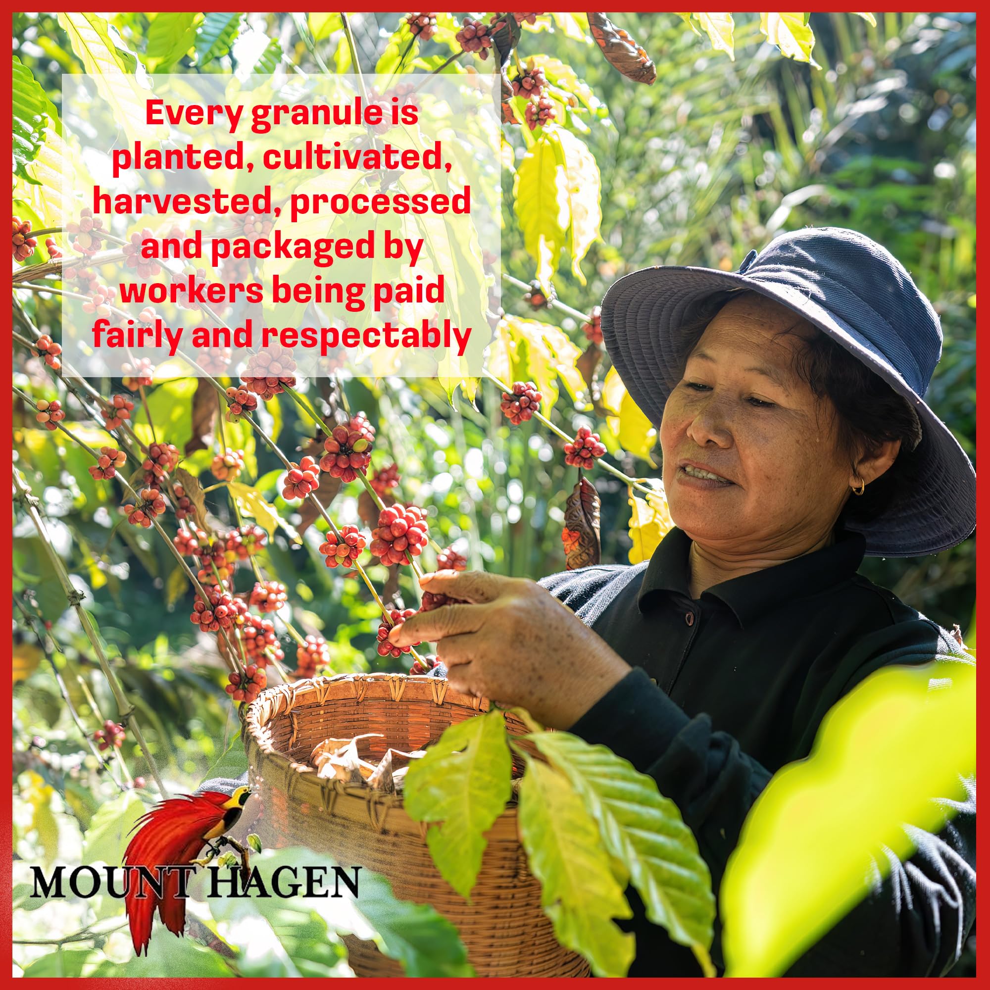 Mount Hagen etiqueta con certificaciones orgánicas y comercio justo visibles