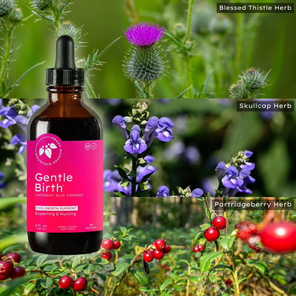 Mountain Meadow Herbs frasco al lado de una regla para referencia de tamaño práctico