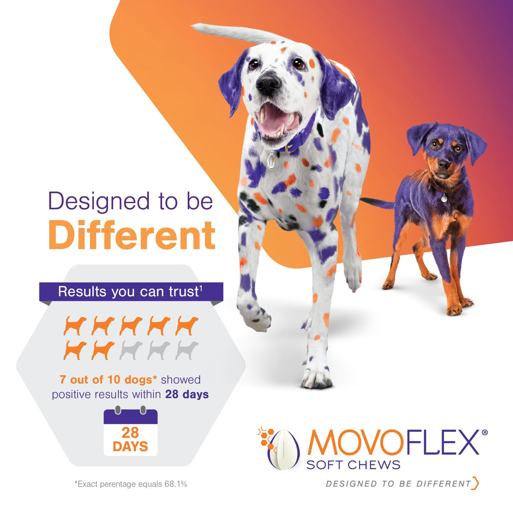 MOVOFLEX masticable en mano para comparar tamaño y dosificación
