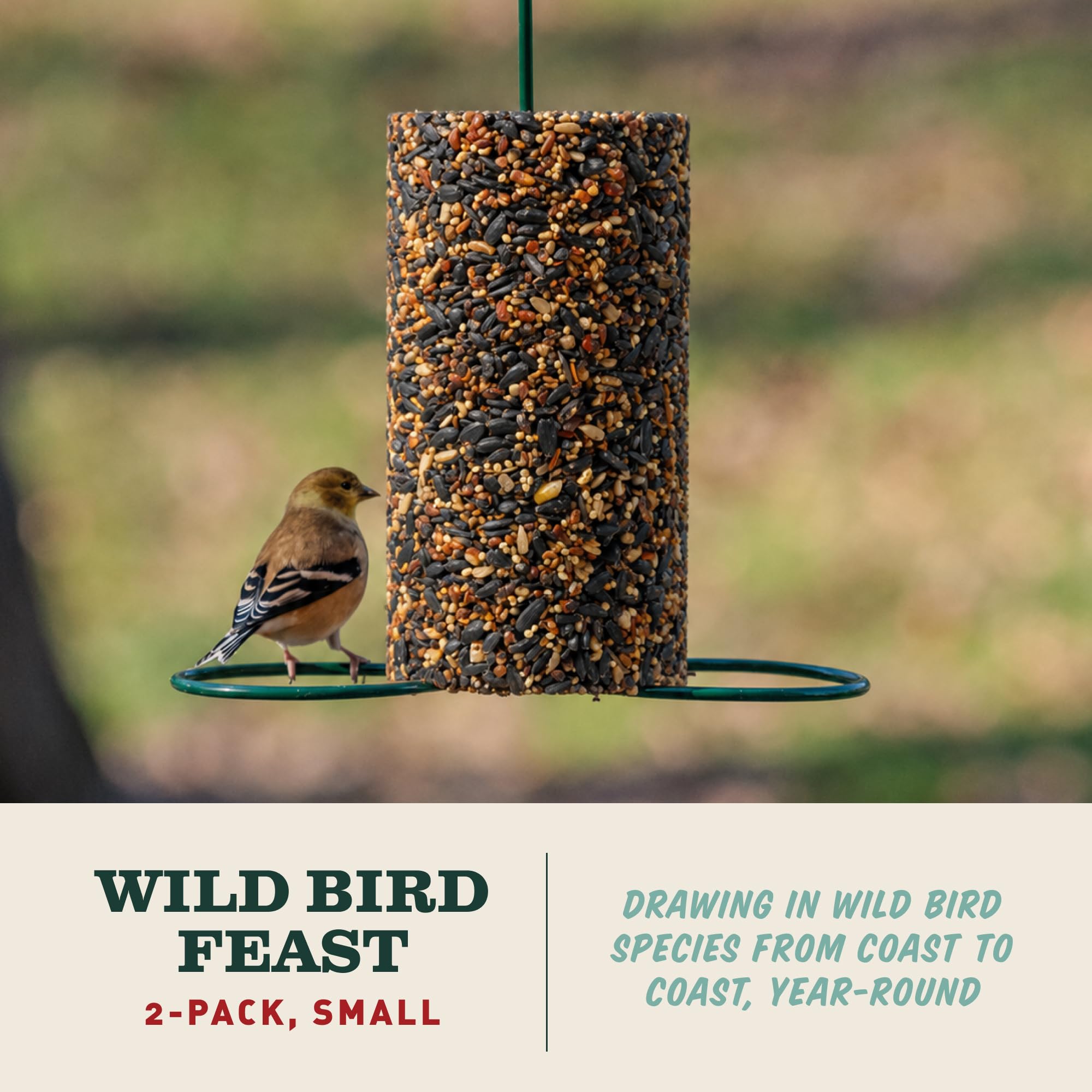 Mr. Bird close-up of seed texture highlighting premium ingredient appeal