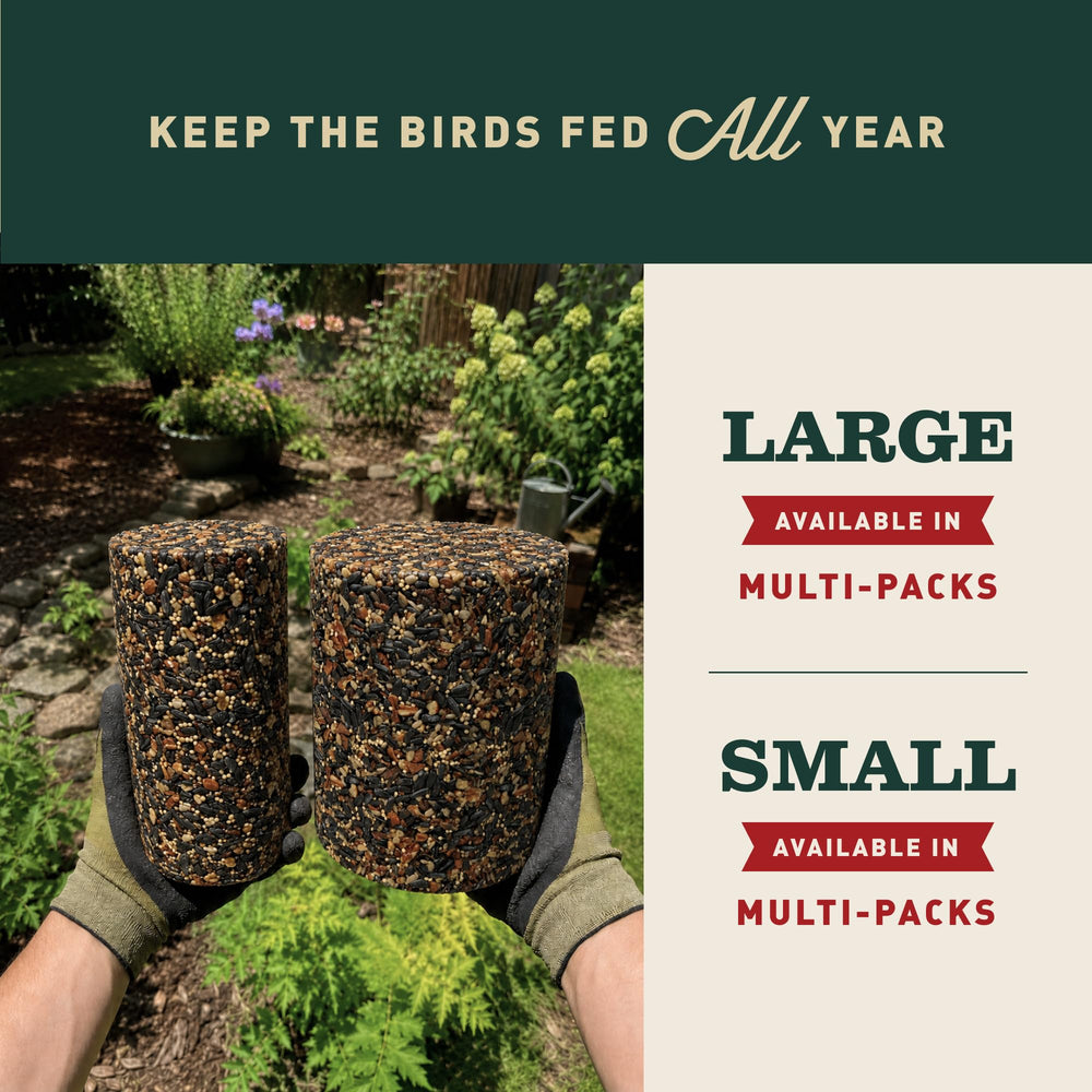 Mr. Bird cylinders side by side showing size and longer-lasting benefit