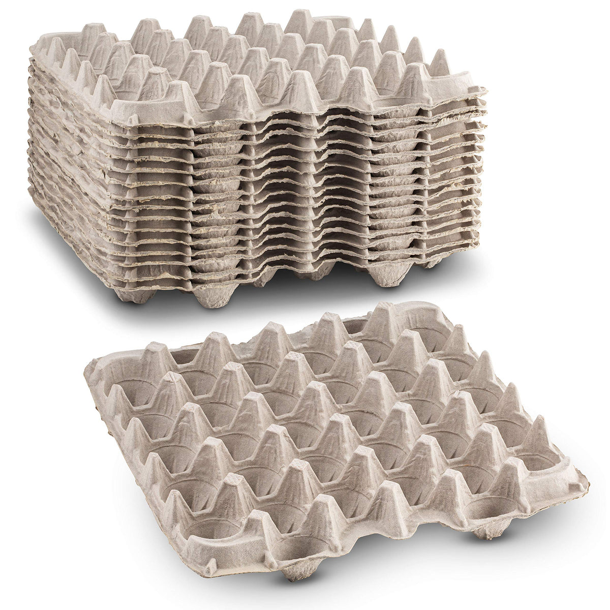 MT Products bandeja frontal mostrando 15 piezas, protección segura
