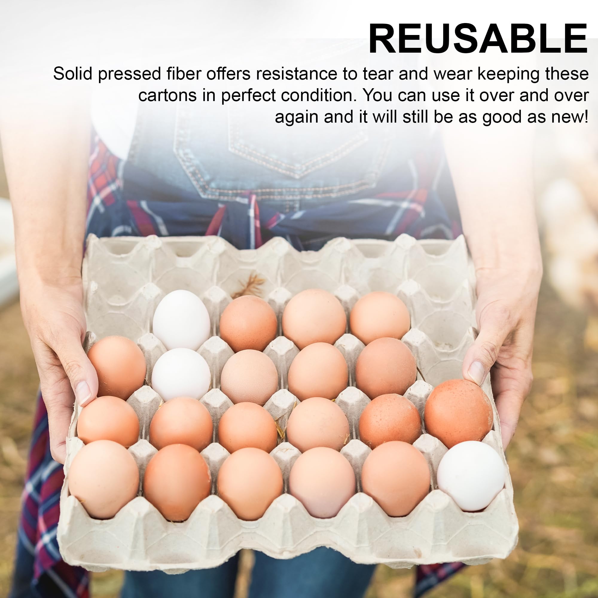 MT Products bandeja como criadero de insectos, refugio natural