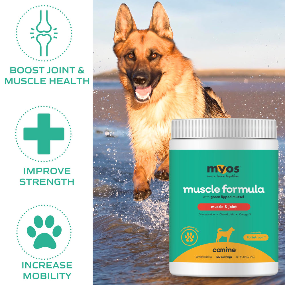 MYOS CANINE being mixed into dog food for easy daily use