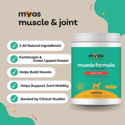 MYOS CANINE powder texture close-up highlighting mixability