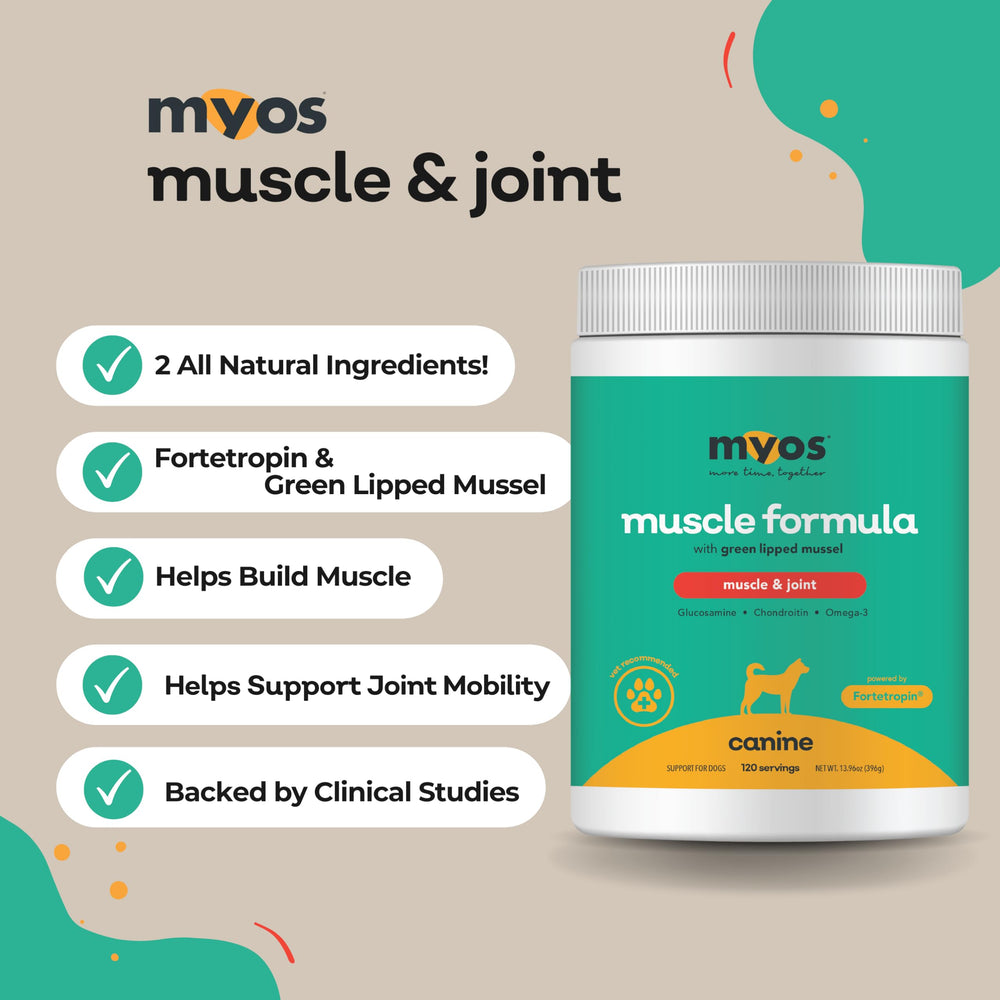 MYOS CANINE powder texture close-up highlighting mixability