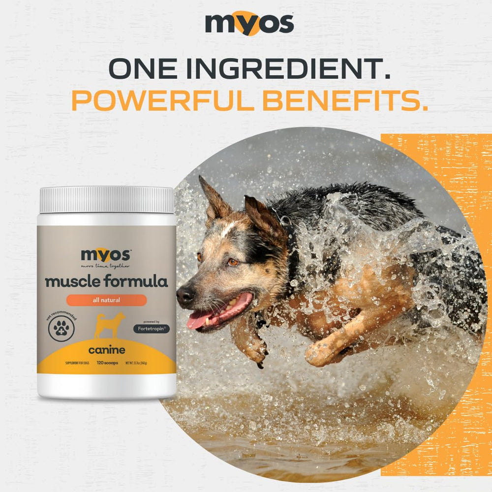 product jar near vet tools conveying professional trust and recovery support