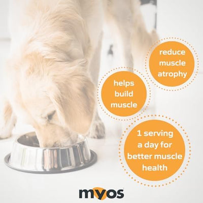 rehab clinic scene with MYOS supporting post-surgery muscle maintenance