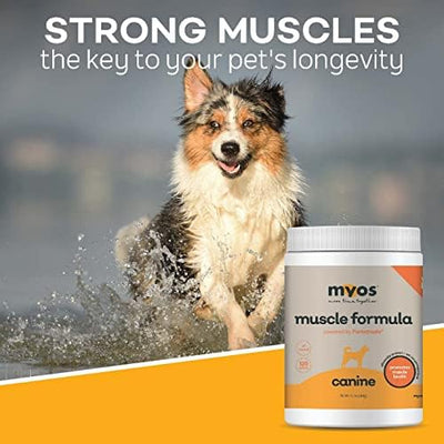 MYOS scoop with powder beside kibble to show serving size and simple dosing