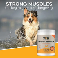 MYOS scoop with powder beside kibble to show serving size and simple dosing