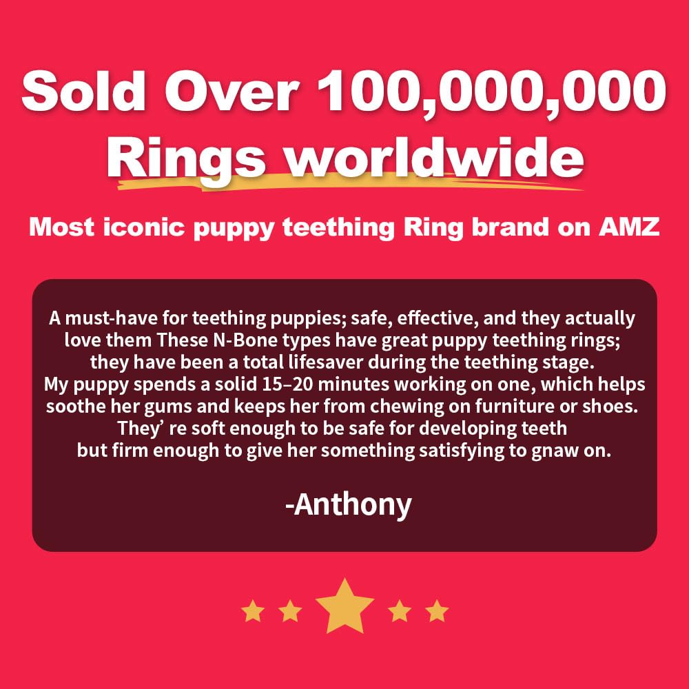 N-Bone anillo en entorno hogareño mostrando uso como premio y entretenimiento