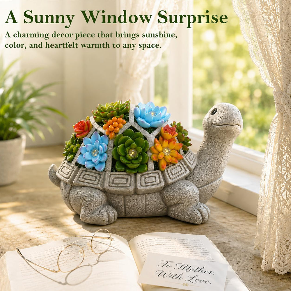 Nacome turtle top view of succulent niche showcasing planting option