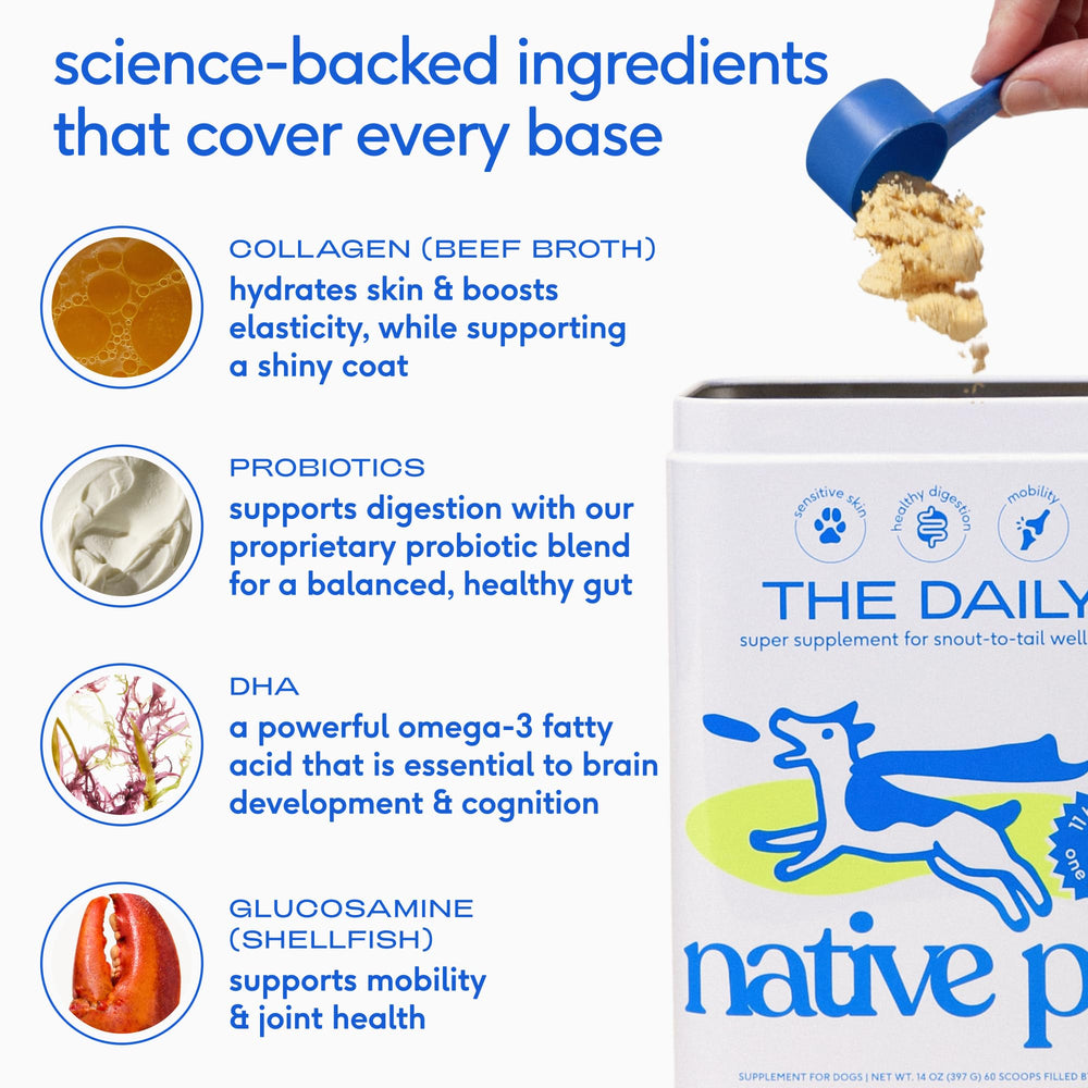 Native Pet aceite de salmón vertido en cuchara para dosificar omegas
