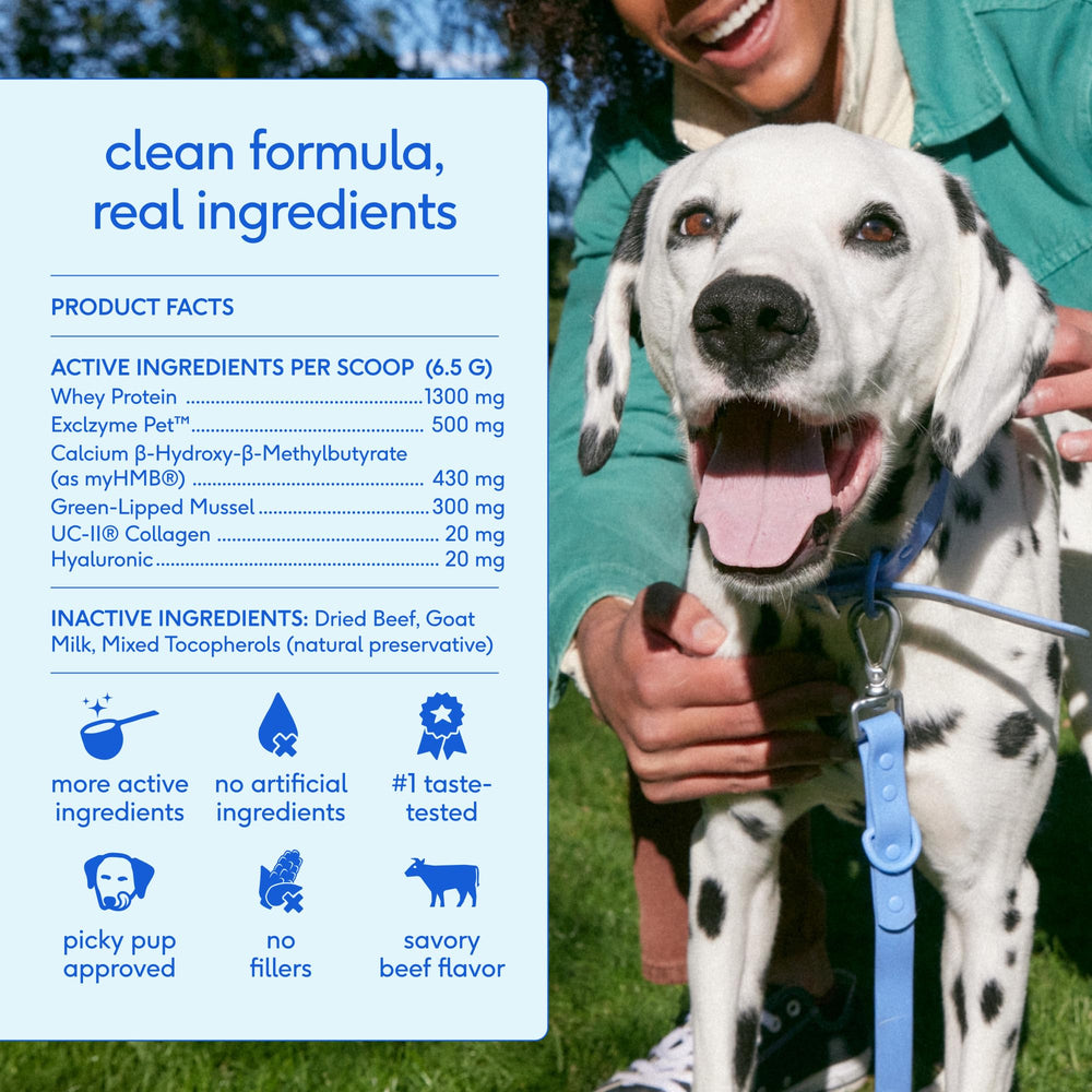 Native Pet etiqueta con ingredientes clave y transparencia nutricional