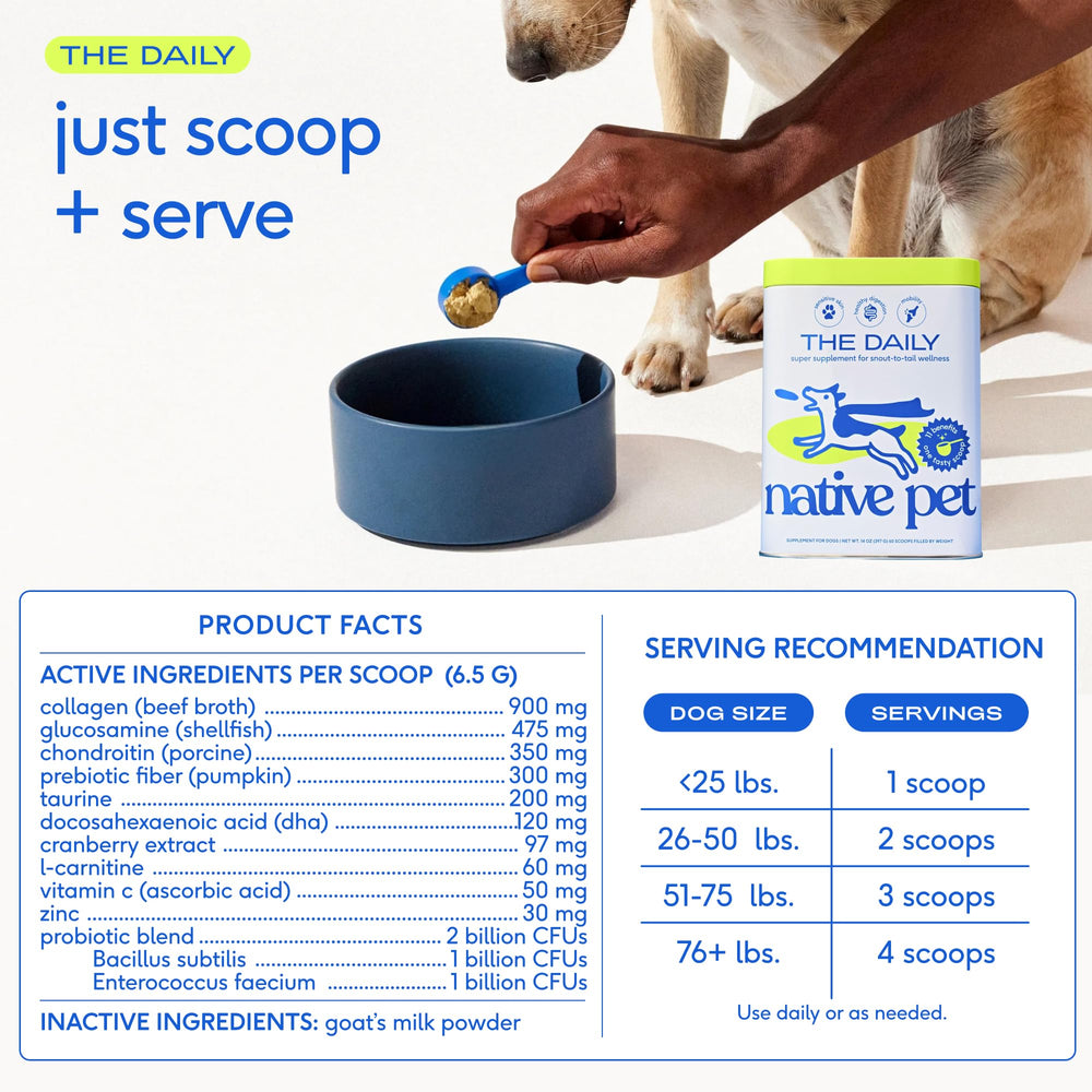 Native Pet perro comiendo mezcla con polvo y aceite para salud diaria
