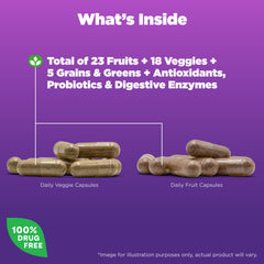 Natrol JuiceFestiv textura del polvo vegetal para ver ingredientes concentrados