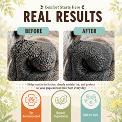 Natural Dog Company stick abierto listo para aplicar hidratación fácil en paseos