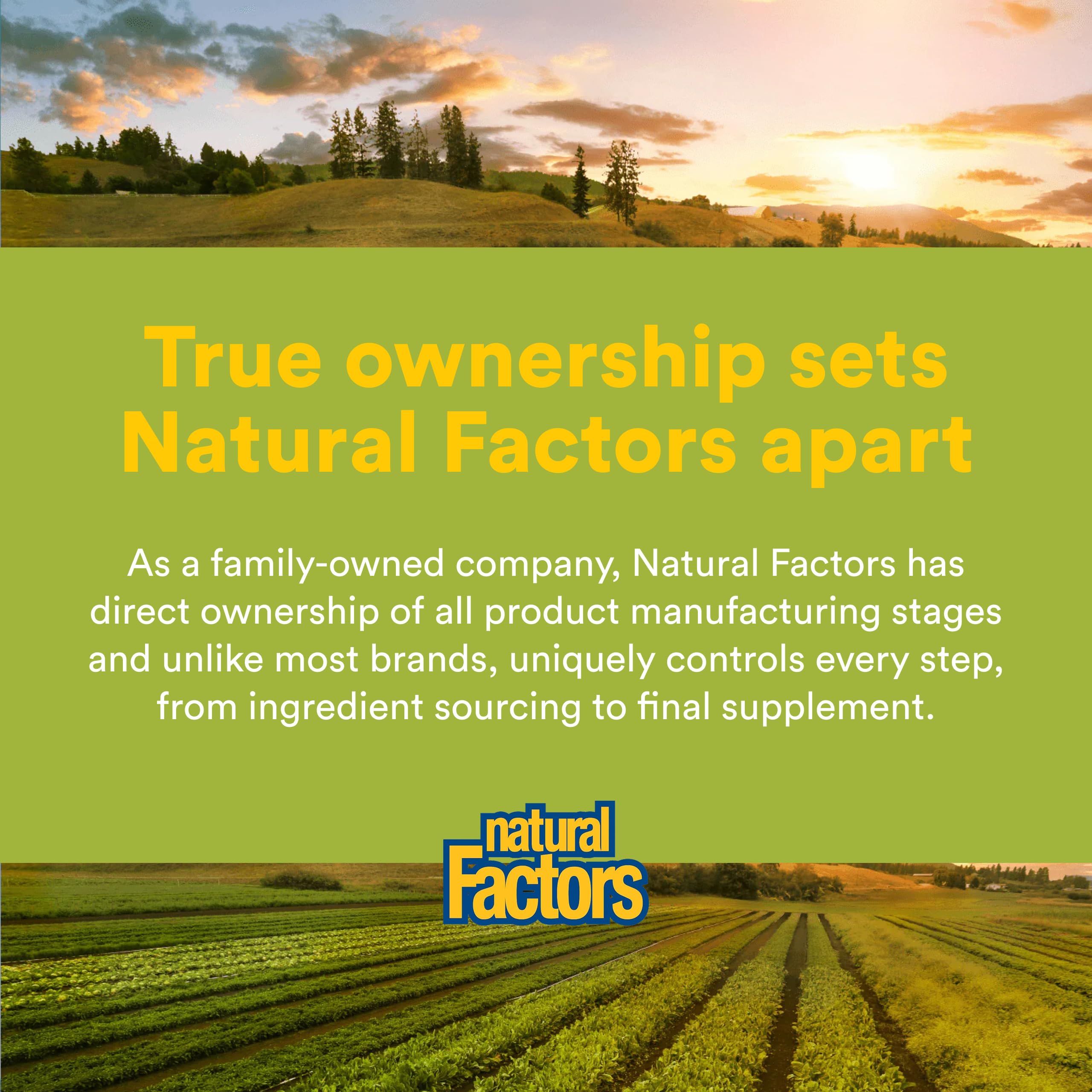 Natural Factors tableta en mano para comparar tamaño, dosificación práctica y portable