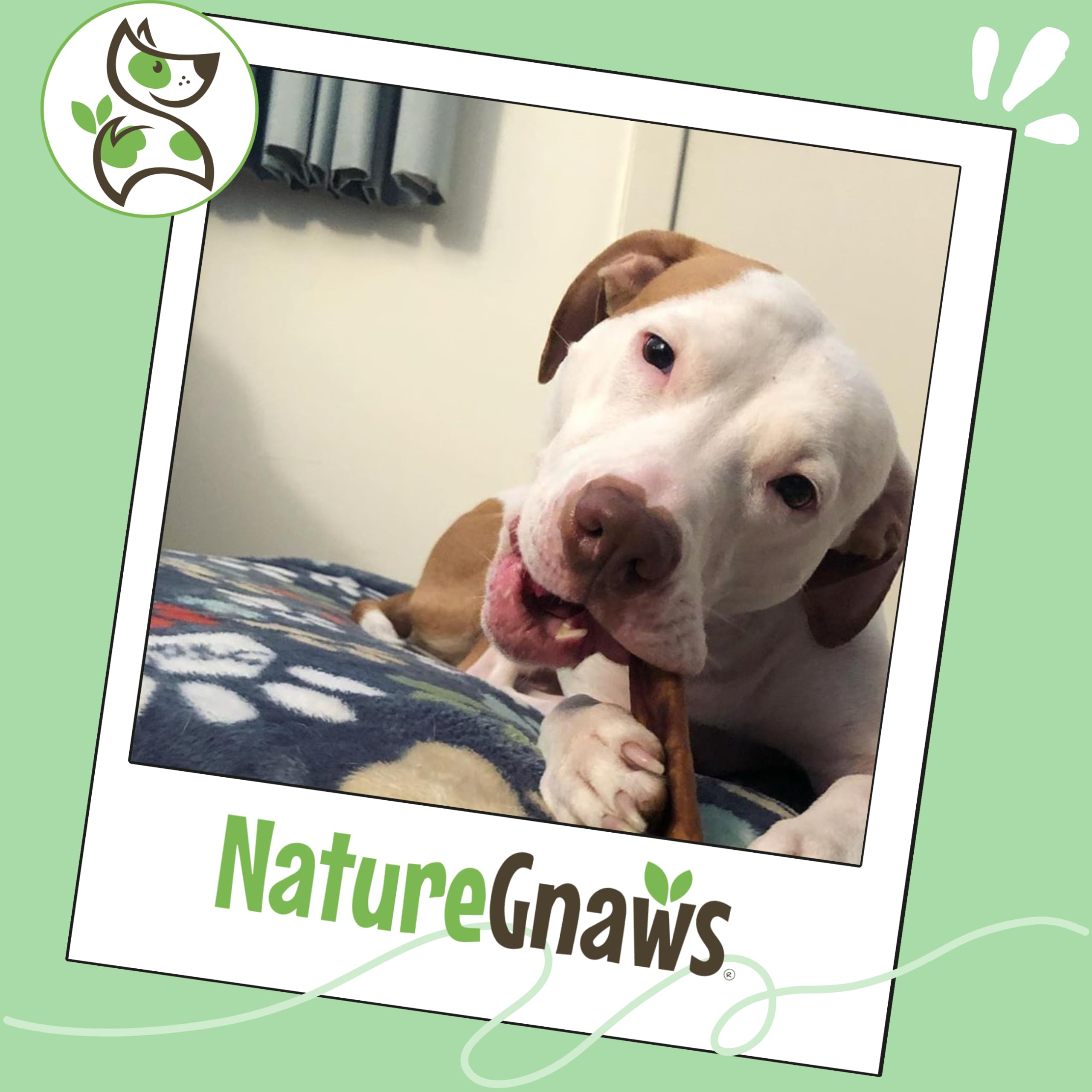 Nature Gnaws bolsa abierta con palitos listos para servir al perro