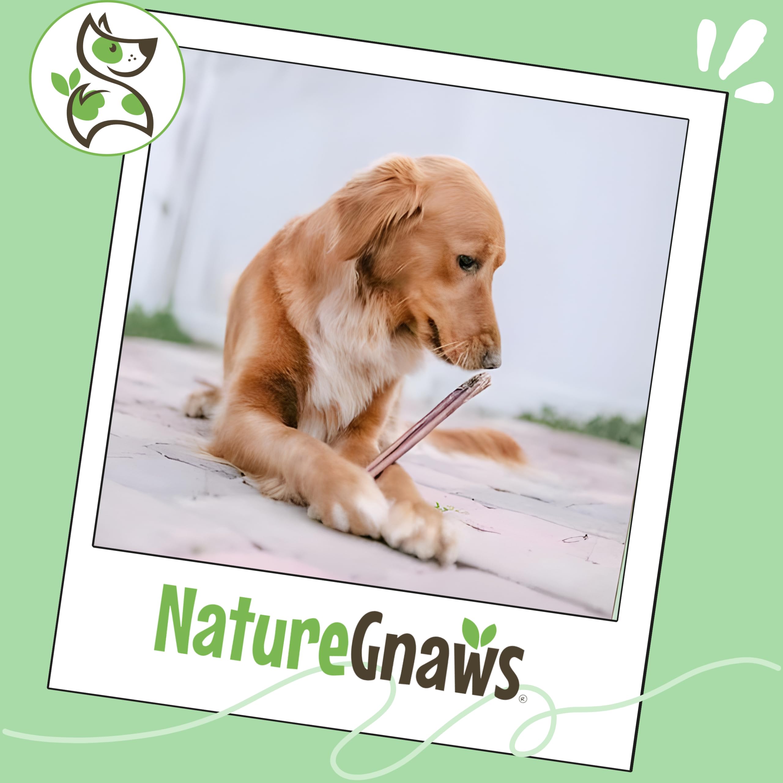 Nature Gnaws bolsas abiertas con 4–5 palitos de 8 oz listos para usar y compartir