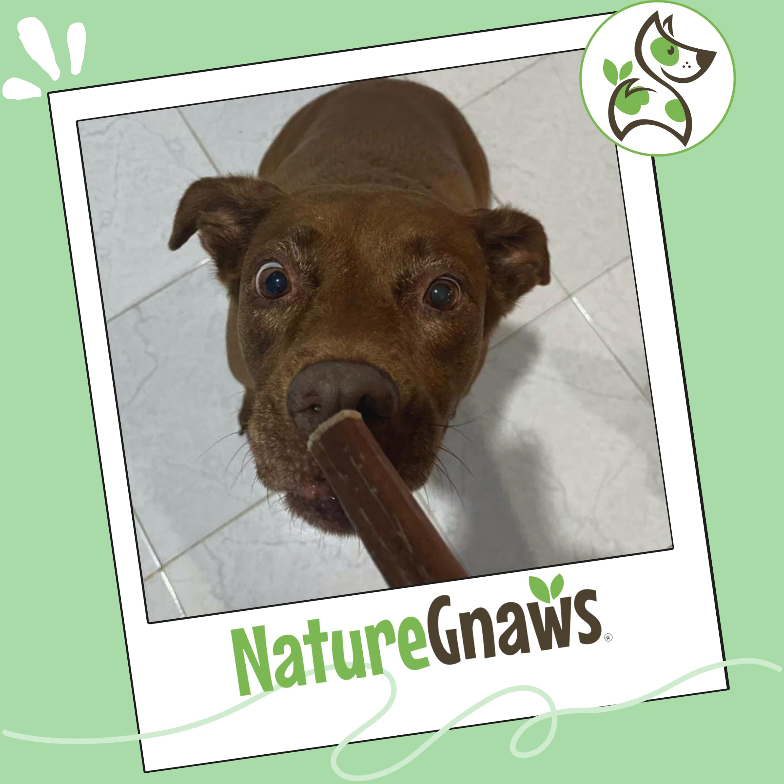 Nature Gnaws etiqueta con información del producto y beneficios