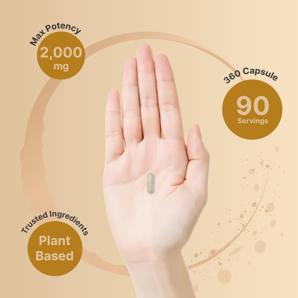 Ingredientes principales NatureBell: psyllium, inulina y chía dispuestos para ilustrar la mezcla